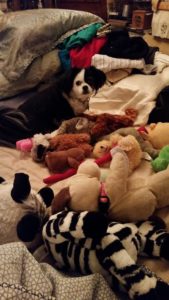 I'm doing my part to check out the toys!